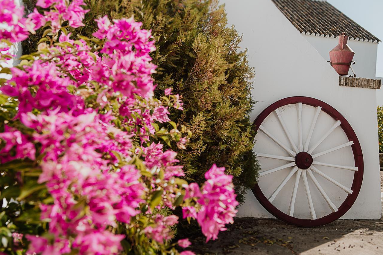 Вилла Cortijo Santa Clara Кармона Экстерьер фото